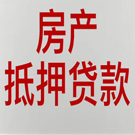 东光贷款公司新渝启服推荐选择